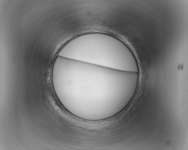 X0000113630010200909181316