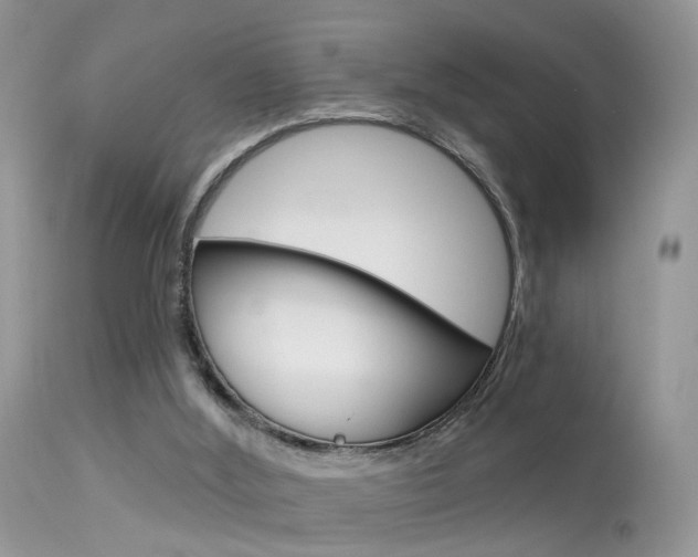 X0000113630012200909181316