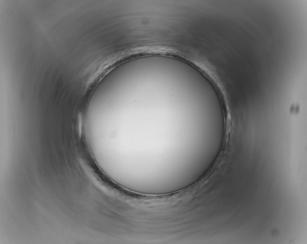 X0000113630013200909181316
