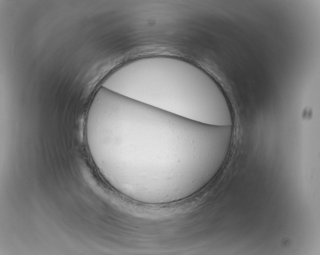 X0000113630014200909181316