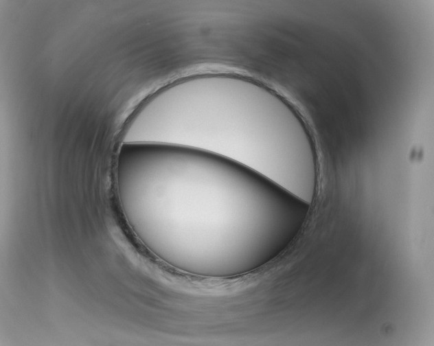 X0000113630015200909181316
