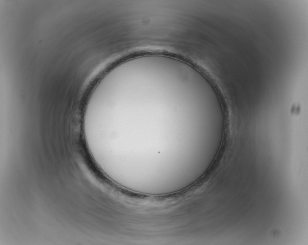 X0000113630016200909181316