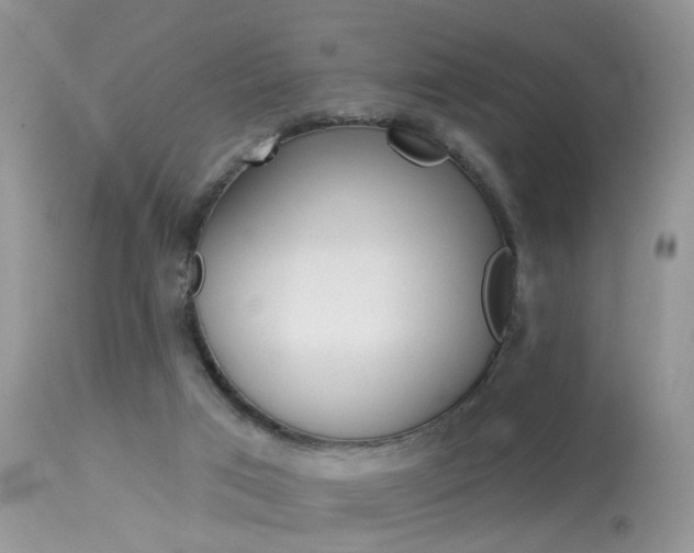 X0000113630017200909181316