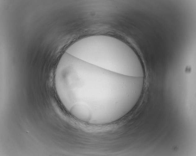 X0000113630018200909181316