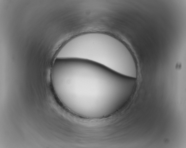 X0000113630019200909181316