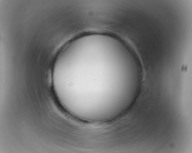 X0000113630020200909181316