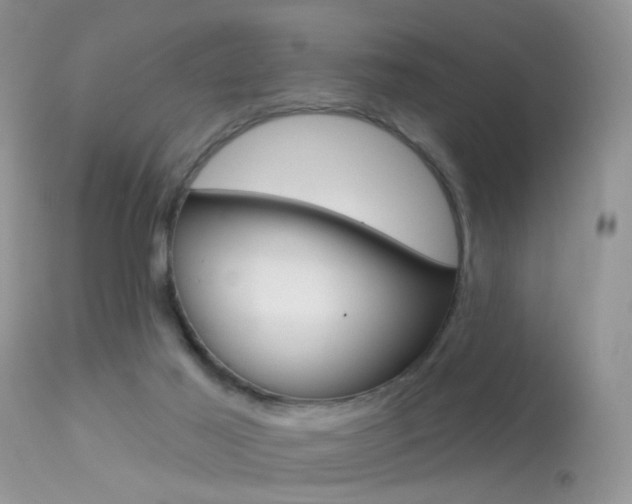X0000113630021200909181316