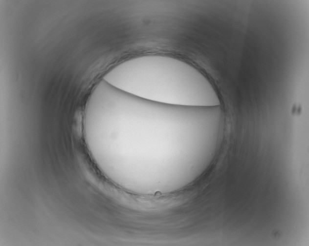 X0000113630022200909181316