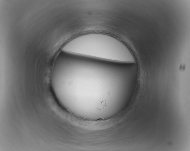 X0000113630023200909181316