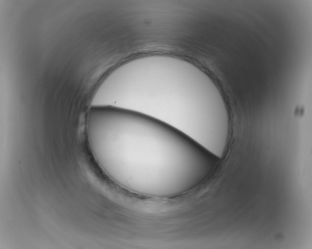 X0000113630024200909181316
