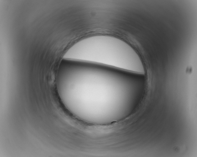 X0000113630025200909181316