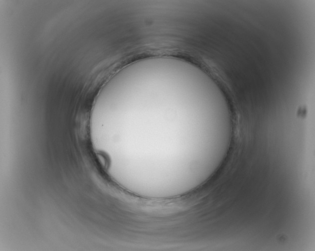 X0000113630026200909181316