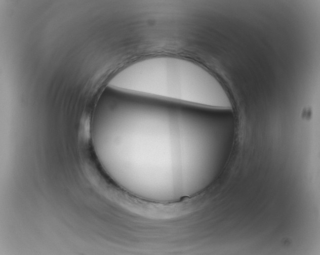 X0000113630027200909181316