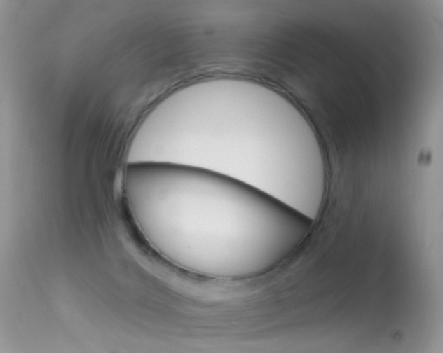 X0000113630028200909181316