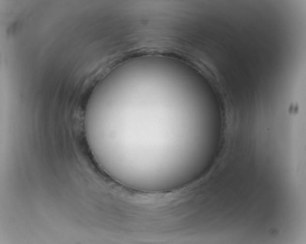 X0000113630029200909181316