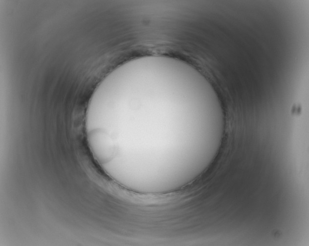 X0000113630030200909181316