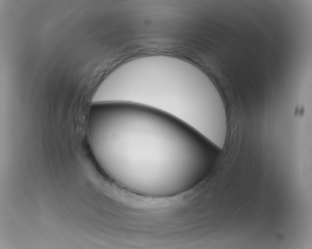 X0000113630031200909181316