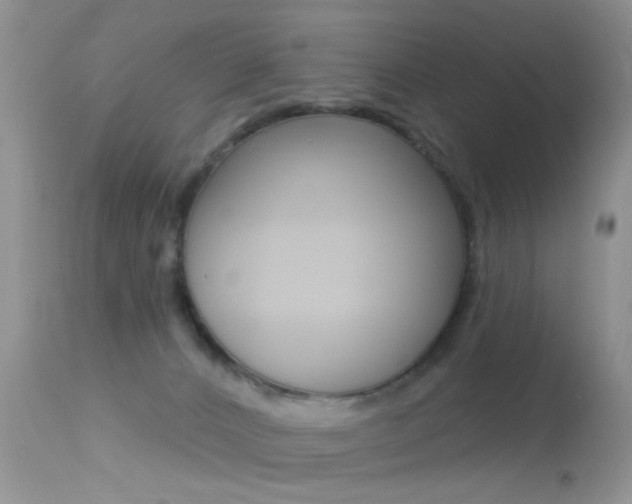 X0000113630032200909181316