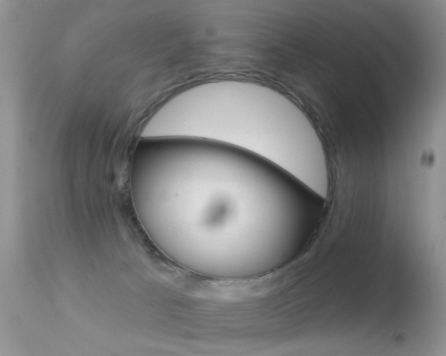 X0000113630033200909181316