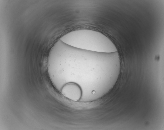 X0000113630034200909181316