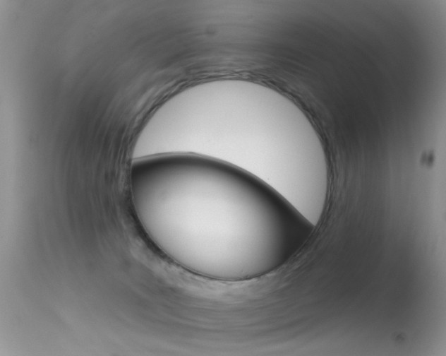 X0000113630035200909181316