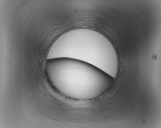 X0000113630036200909181316