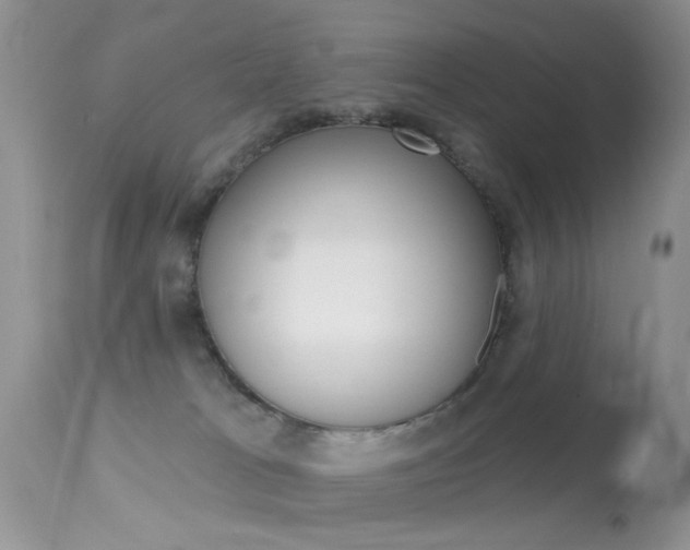 X0000113630037200909181316
