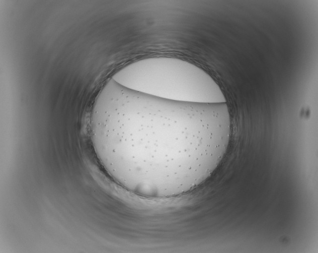 X0000113630038200909181316
