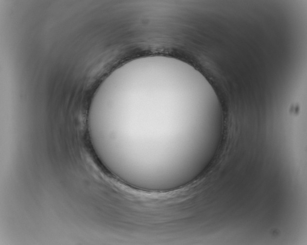 X0000113630039200909181316