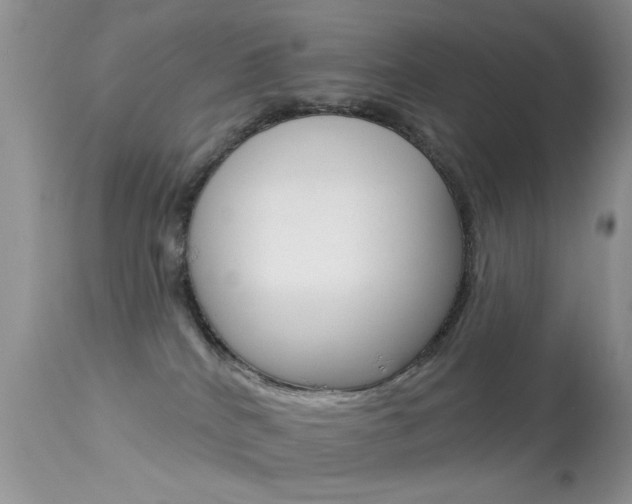 X0000113630040200909181316
