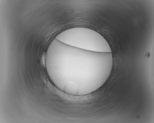X0000113630042200909181316
