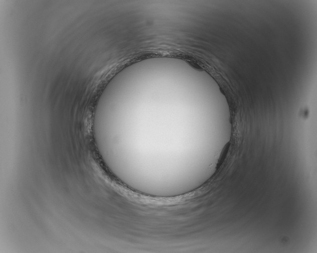 X0000113630043200909181316