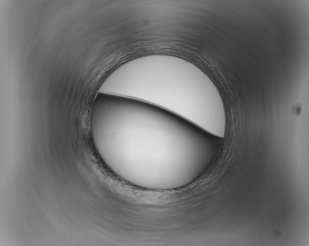 X0000113630044200909181315