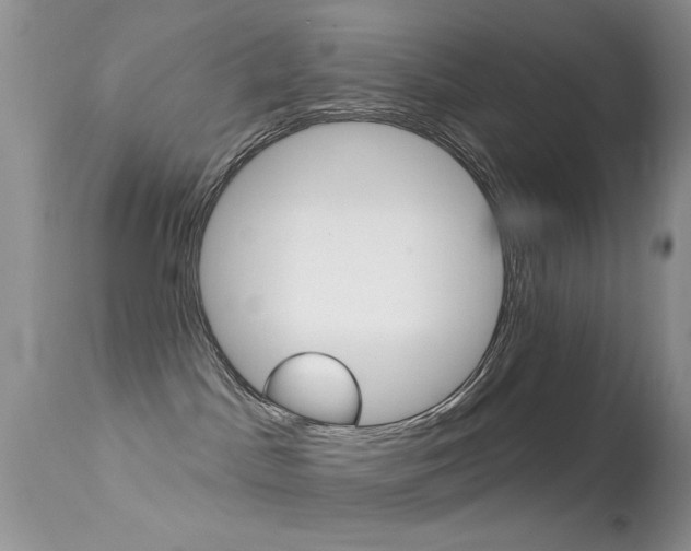 X0000113630045200909181315