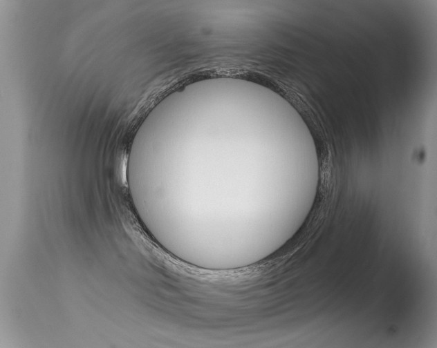 X0000113630046200909181315