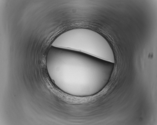 X0000113630048200909181315