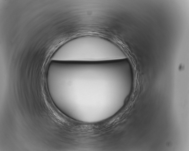 X0000113630049200909181314