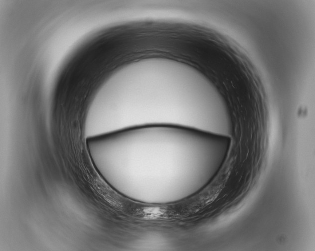 X0000113630050200909181314