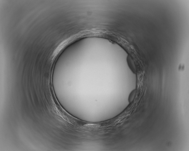 X0000113630051200909181315