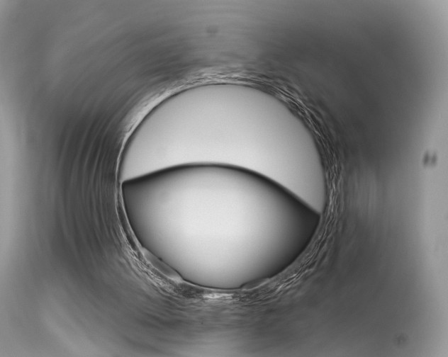 X0000113630052200909181315