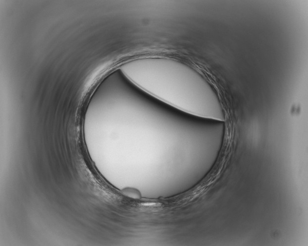 X0000113630053200909181315