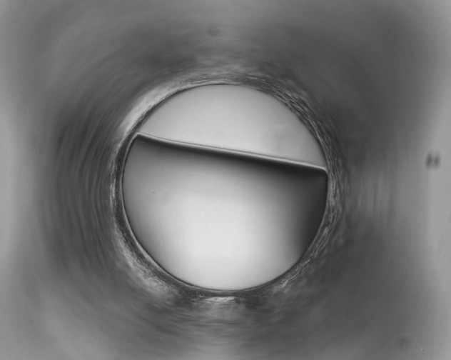 X0000113630054200909181315