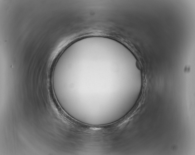 X0000113630055200909181315
