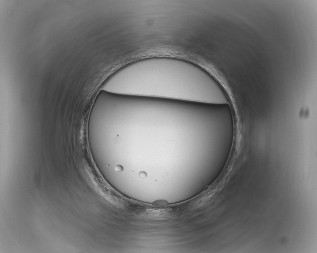 X0000113630057200909181315