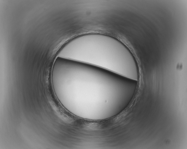 X0000113630058200909181315