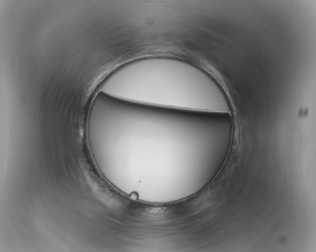 X0000113630059200909181315