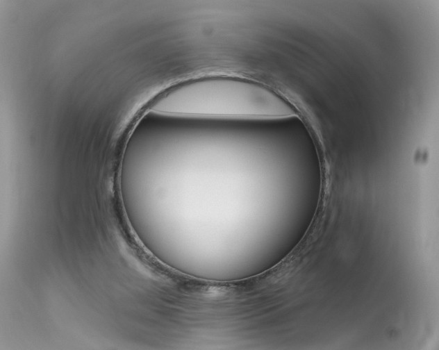 X0000113630060200909181315