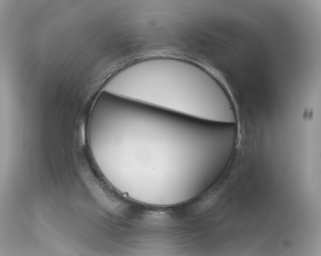 X0000113630061200909181315