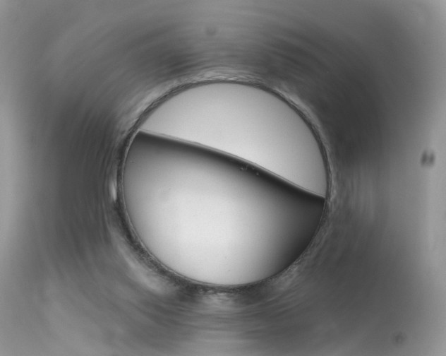 X0000113630062200909181315