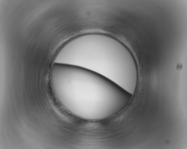 X0000113630063200909181315